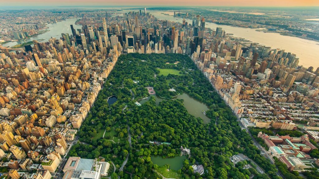 New York Central Park Aerial View in Summer