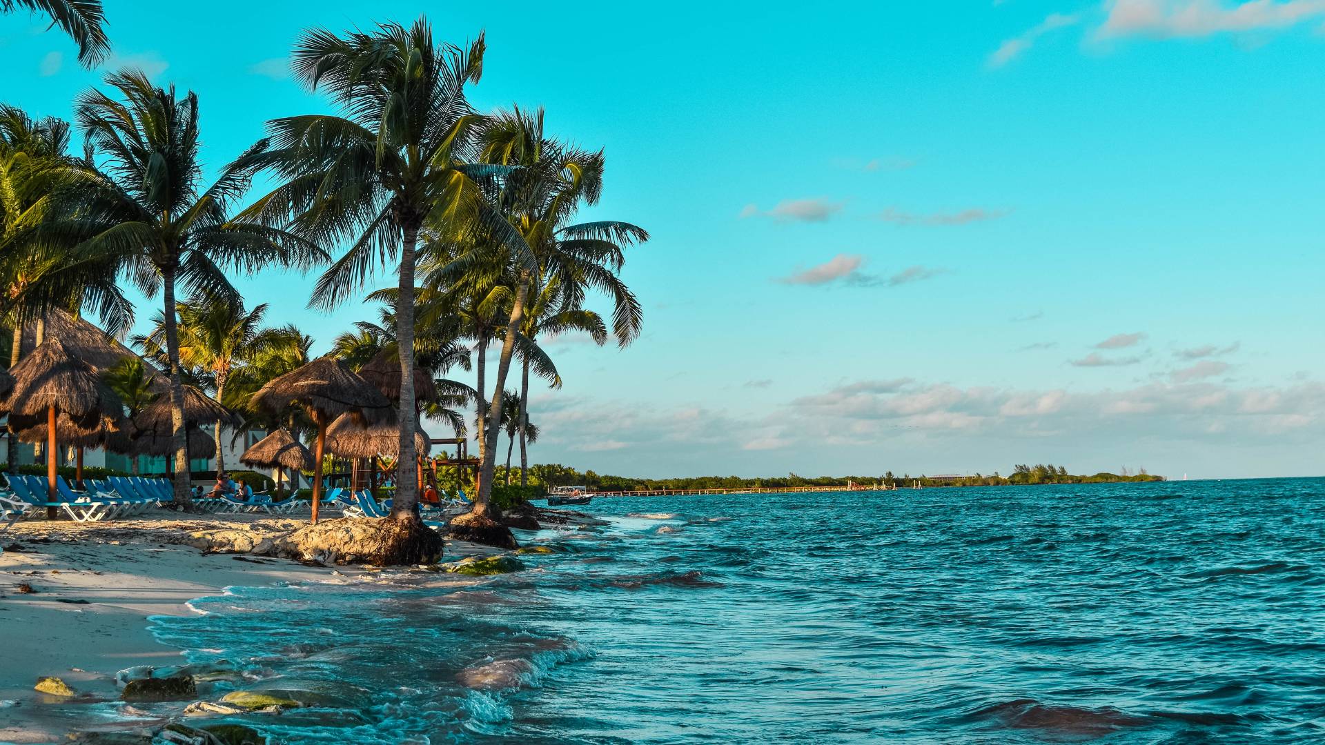 A tropical beach scene with palm trees along the shoreline, clear blue sky, and gentle waves lapping at the sandy beach.