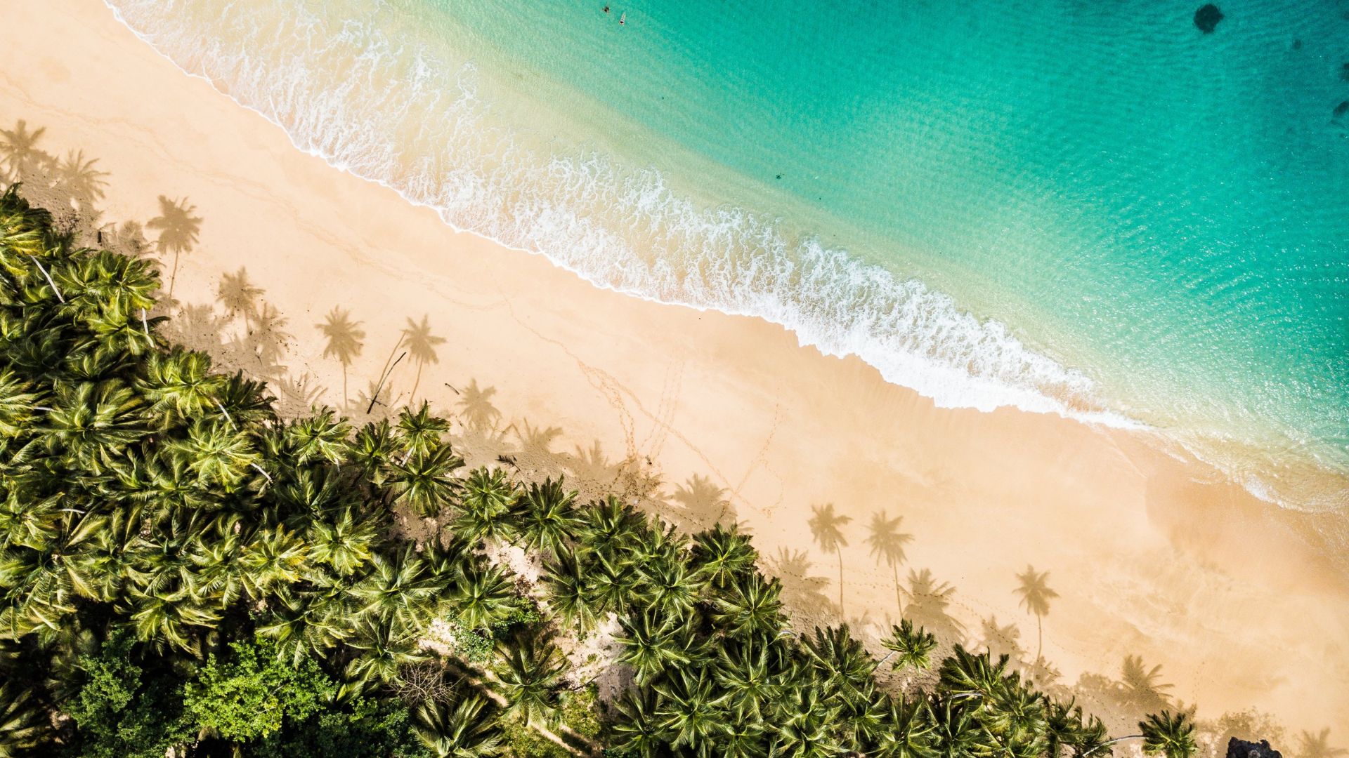 Aerial view of São Tomé & Príncipe islands surrounded by turquoise ocean and tropical rainforest